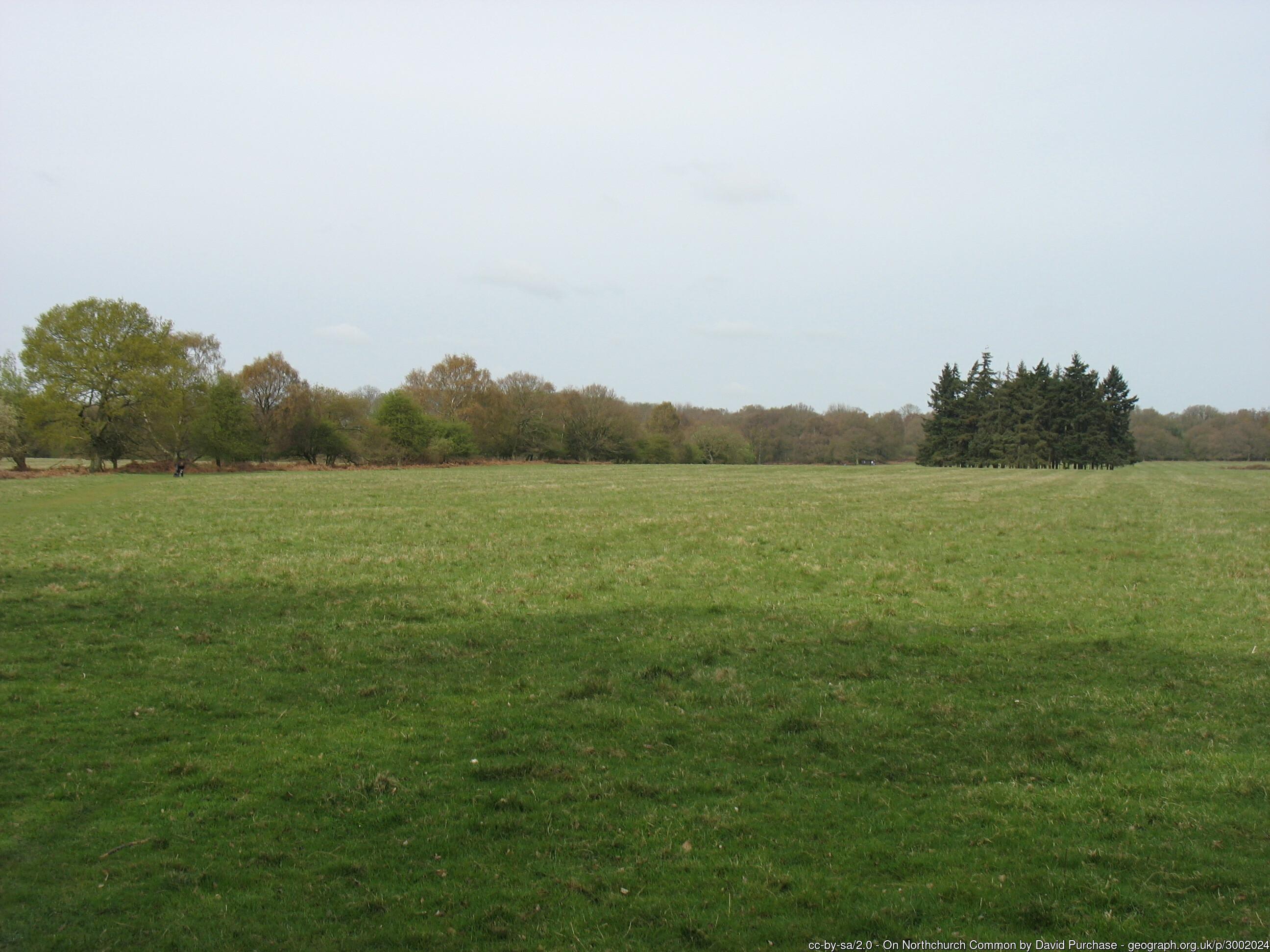 Northchurch Common geograph-3002024-by-David-Purchase.jpg